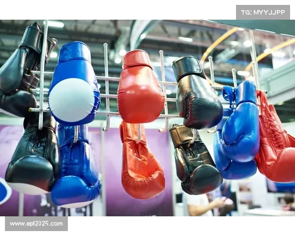 2025年全球拳击器材市场规模达4.33亿美元，手套品类占比超40%